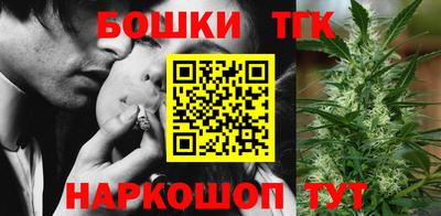 гидра Кингисепп