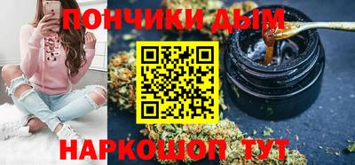 гидра Кингисепп
