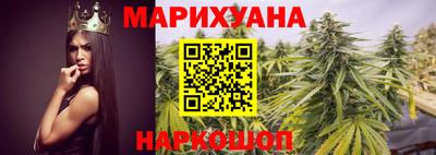 гидра Кингисепп