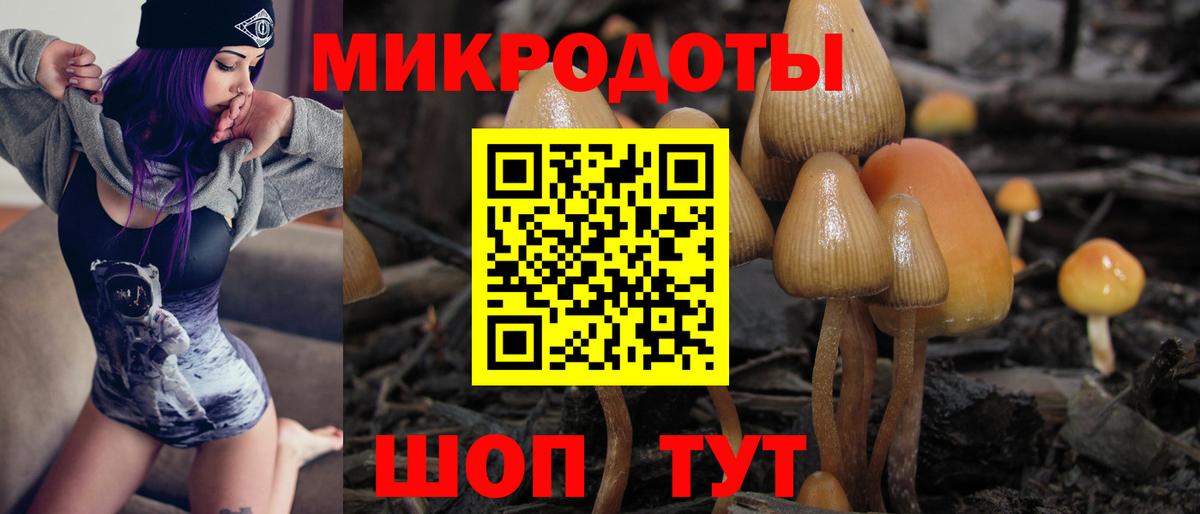 Галлюциногенные грибы мухоморы  Вход с VPN  Галлюциногенные грибы Psilocybe  наркошоп  Красноармейск 