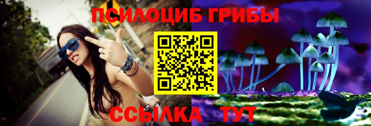 Лсд 25 Красноармейск